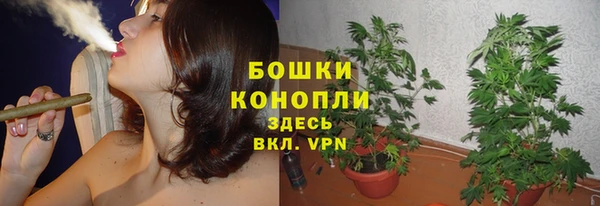 скорость Липки