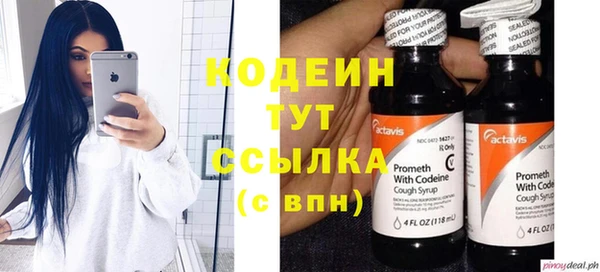 шишки Куйбышев