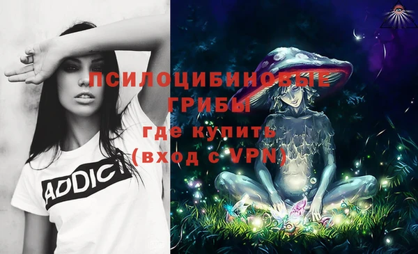 ECSTASY Коряжма