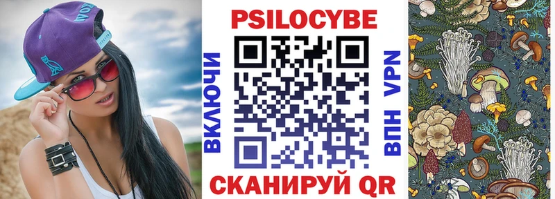 Псилоцибиновые грибы Magic Shrooms  Сокол 