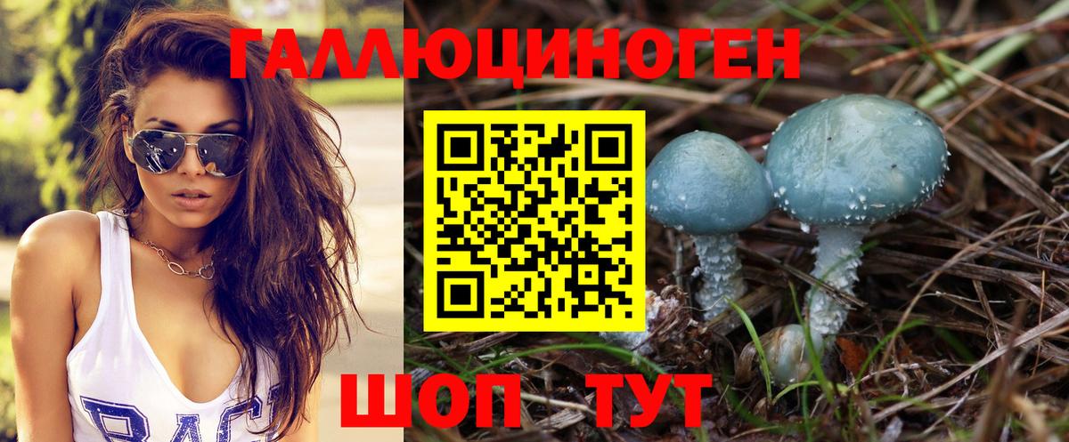 Псилоцибиновые грибы MAGIC MUSHROOMS  Вход с VPN  Сокол  Псилоцибиновые грибы мухоморы 